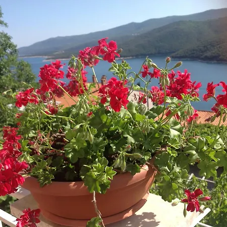 Alma * Rabac