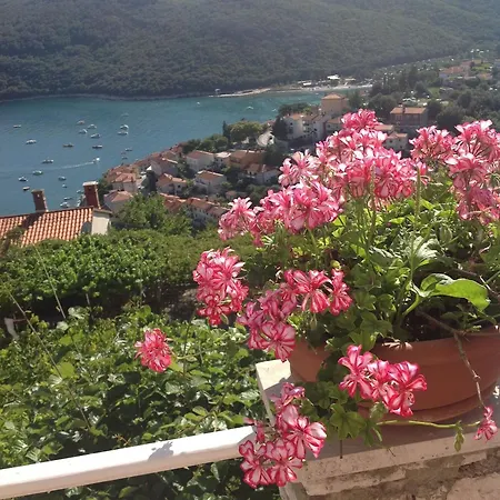 Apartment Alma